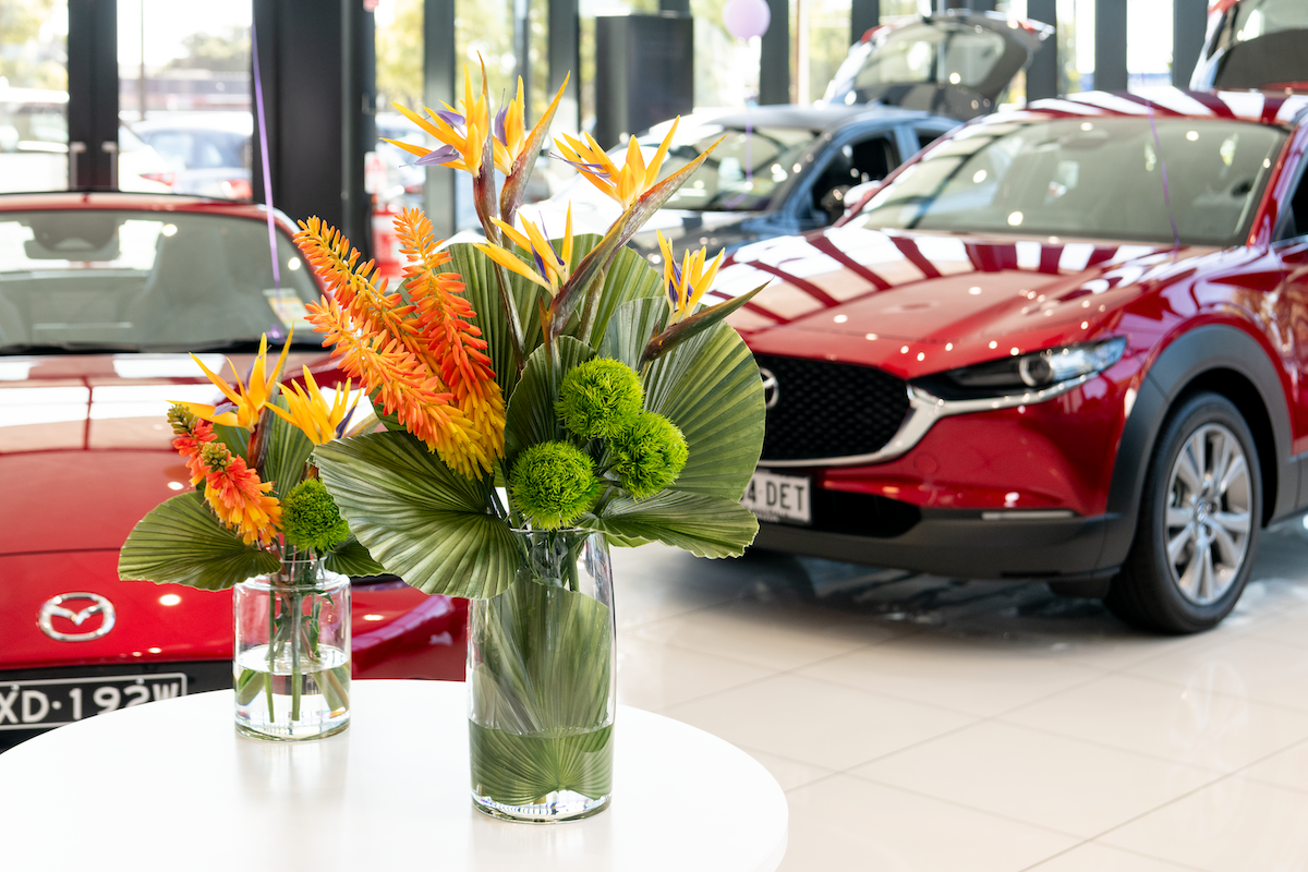 Bringing vibrancy and style to automotive spaces