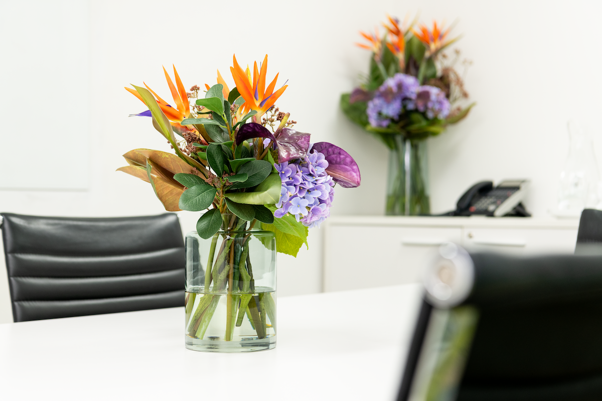 No Mess. No Fuss. No Worries.