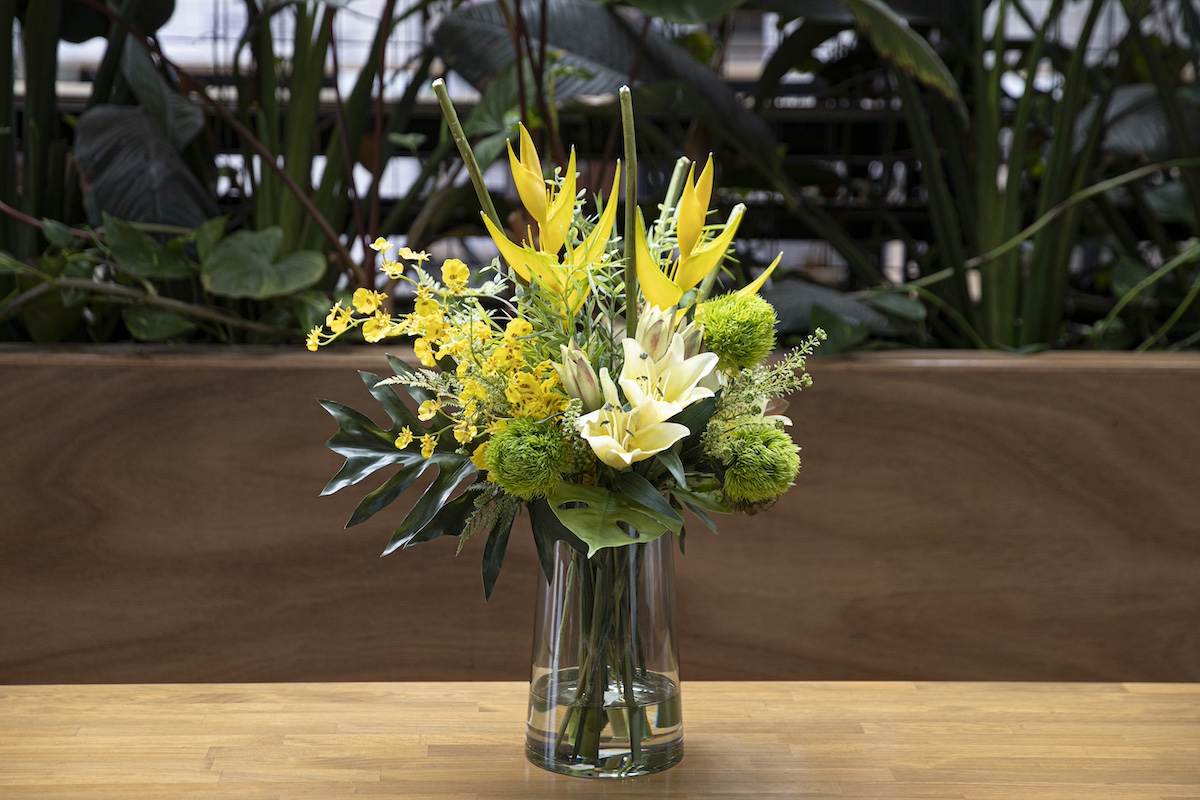 No Mess. No Fuss. No Worries.